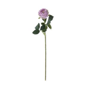 24" Purple Real Touch Austin Rose Stem
