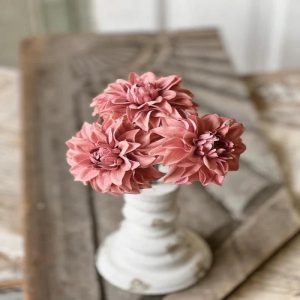 Damask Dahlia Bundle - Pink