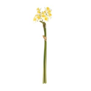 20" Sunshine Narcissus Bunch
