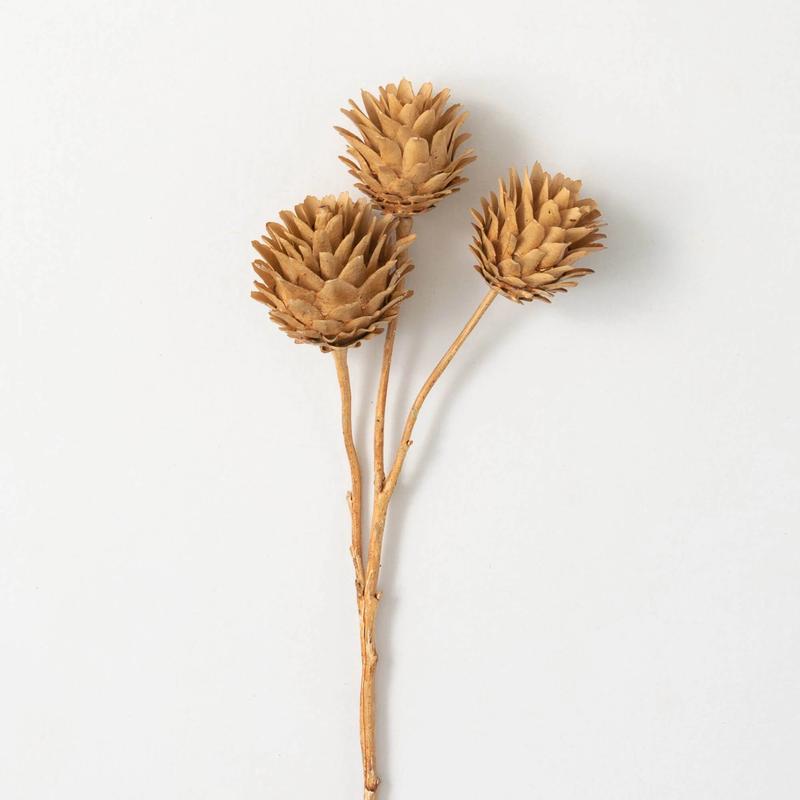 23" Dragon Spray- Warm Brown