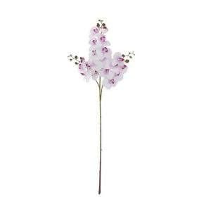 47" White & Purple Orchid Stem