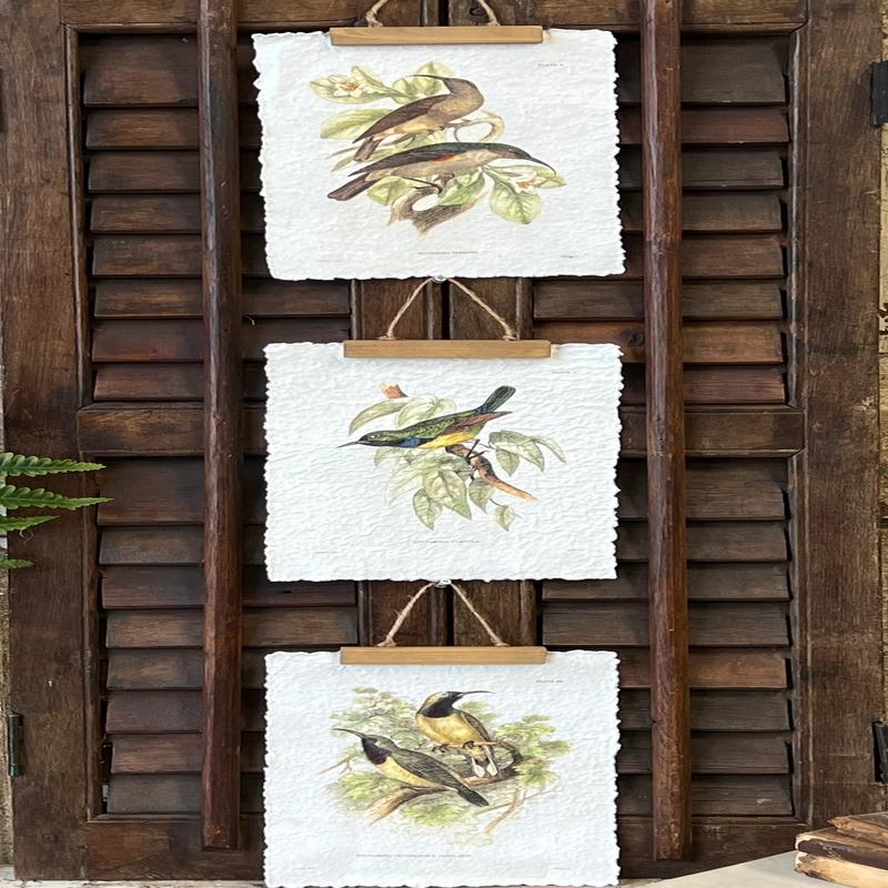 Beguiling Birds Print - Choose Style