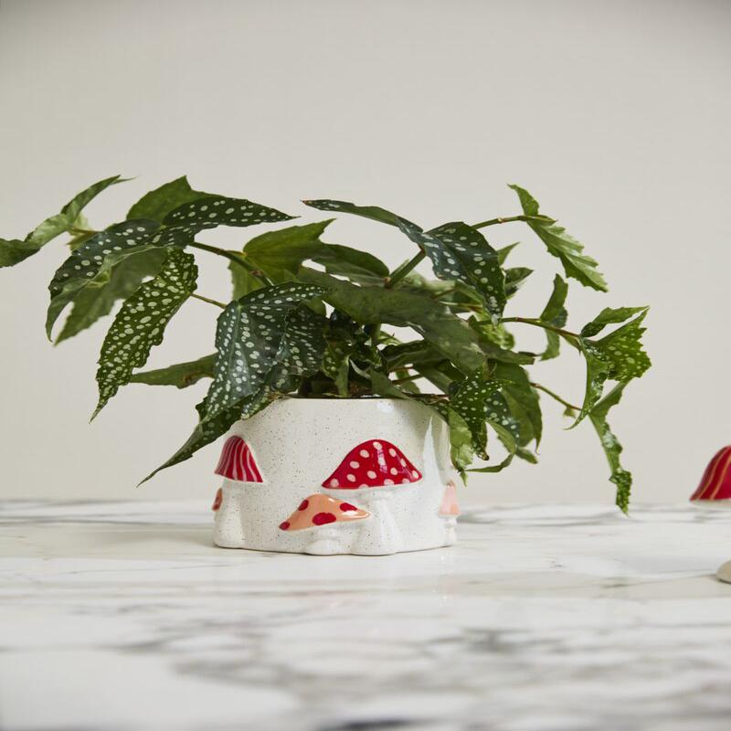 Cheerful Mushroom Pot