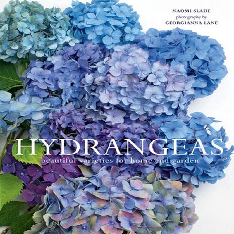 Hydrangeas - Beautiful Varieties for Home and Garden