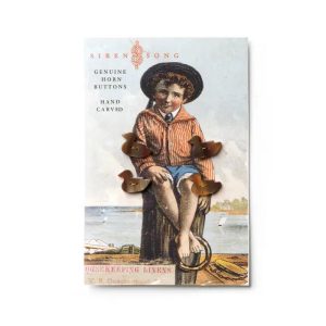 Set of 4 Horn Duck Buttons