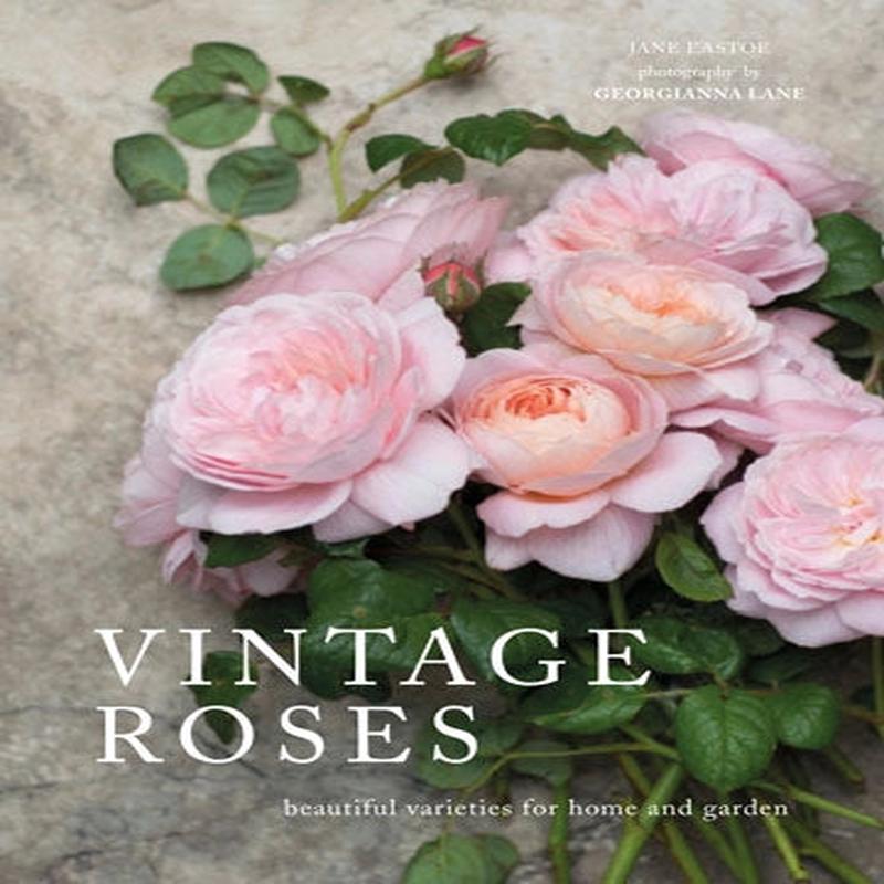 Vintage Roses - Beautiful Varieties for Home and Garden