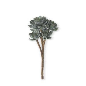 12" Powdered Succulent Pick