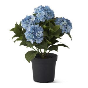 19" 5 Bloom Blue Potted Hydrangea with Faux Dirt