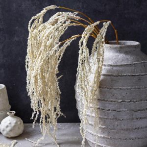 30" Cream Amaranthus Stem