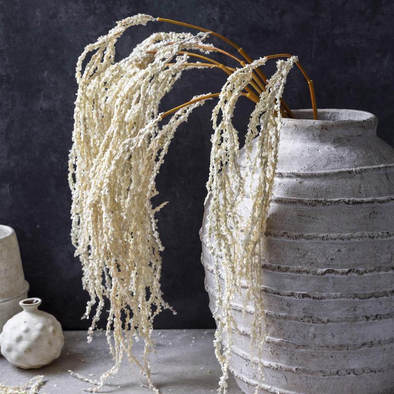 30" Cream Amaranthus Stem