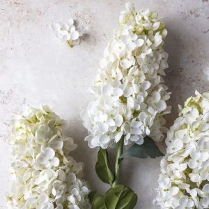 37" Hydrangea Paniculata Stem - White