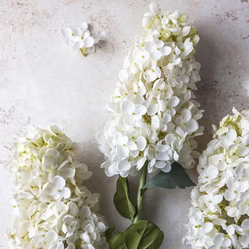 37" Hydrangea Paniculata Stem - White