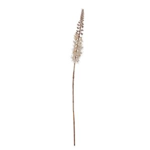 42.5" Foxtail Lily Stem