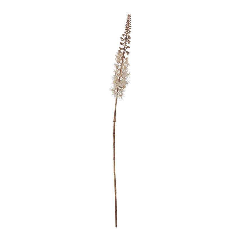 42.5" Foxtail Lily Stem