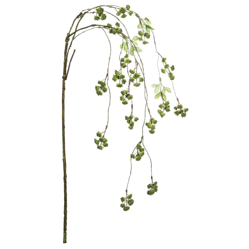 48" Hanging Irish Moss Stem