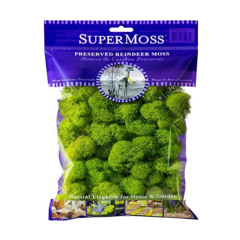 Reindeer Preserved Moss - Apple