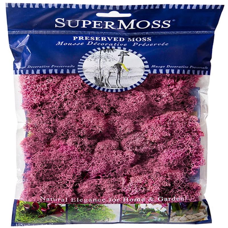 Reindeer Preserved Moss - Dusty Rose
