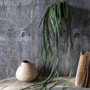 Trailing Cactus Faux Plant