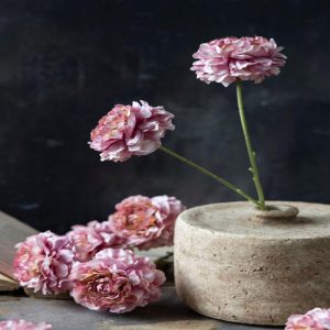 16.5" Blush Carnation Stem