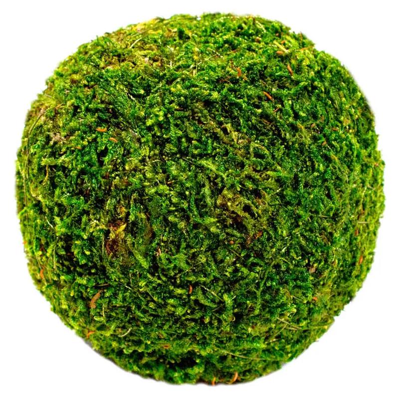 4" Moss Orb