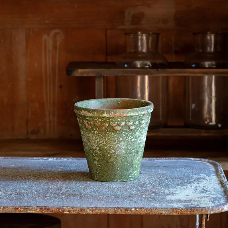 Aged Garden Pot - More Coming Soon