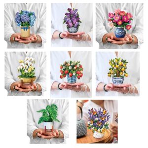 Freshcut Paper Mini Pop Up Greeting Card - Choose Your Favorite Style