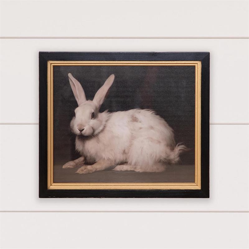 Handsome Rabbit Distressed Framed Print