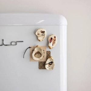 Set of 4 Shell Magnets with Vintage Style Image