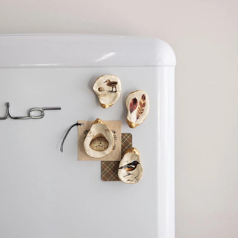 Set of 4 Shell Magnets with Vintage Style Image