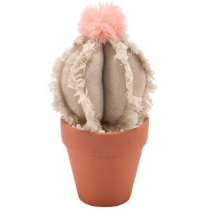 Barrel Cactus Sitter