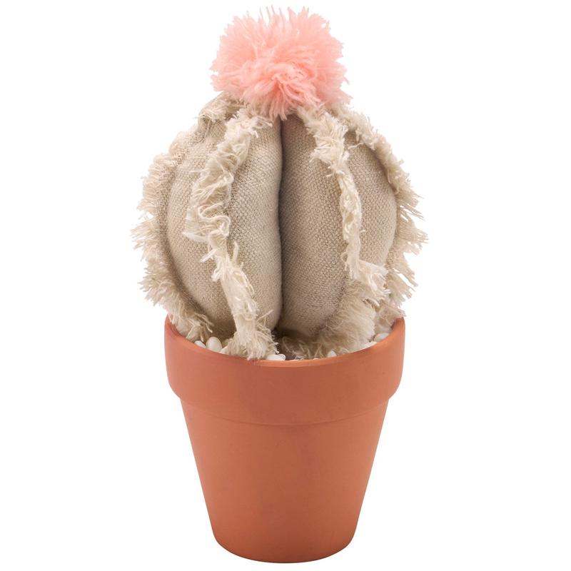 Barrel Cactus Sitter