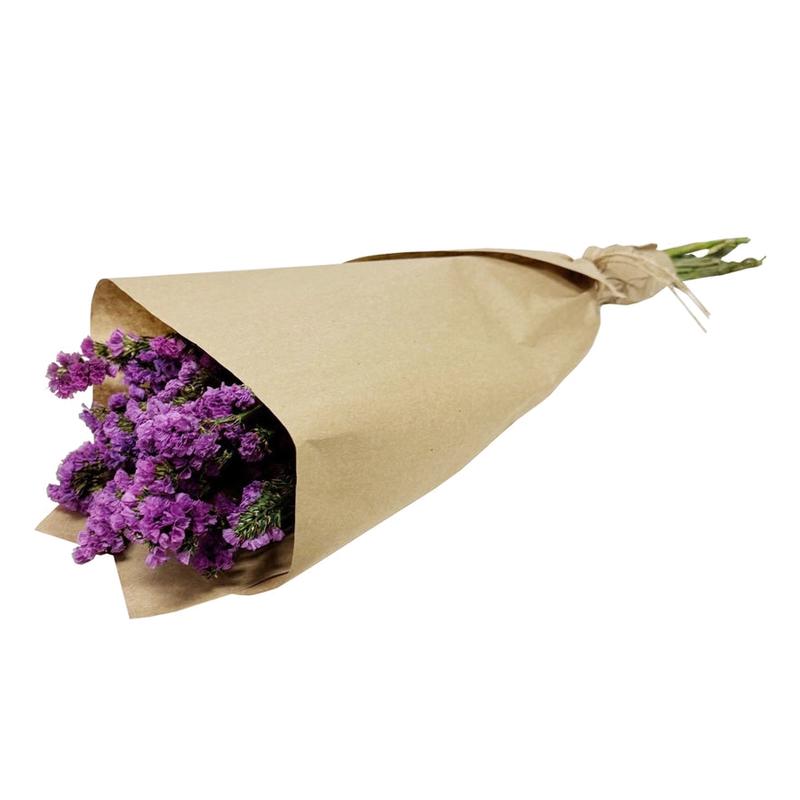 Magenta Dried Statice Flower Bundle