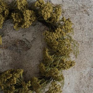 18" Green Queen Anne Lace Wreath