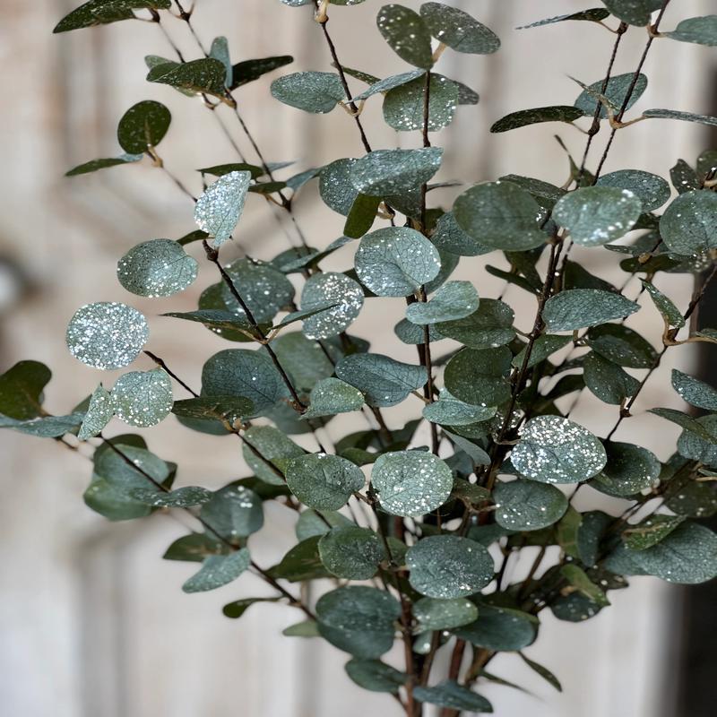 35" Crisp Air Eucalyptus Bundle with Frost Effect