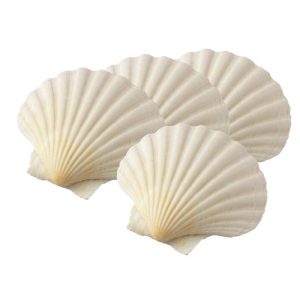 Maine Man Natural Baking Shells, 3.7in