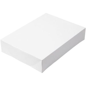 Cardboard Cake Box, 19x14x4" (2-Pack)