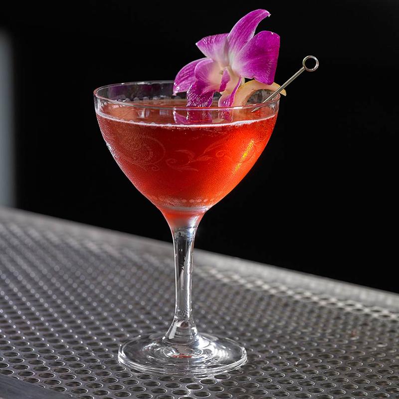 Cocktail Picks | Circle Top