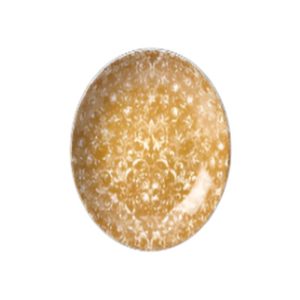 Steelite Legacy Ginger Collection