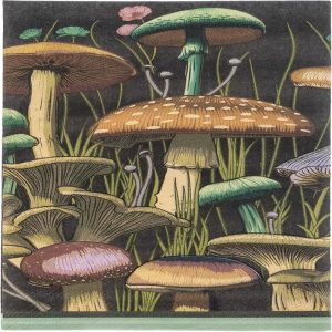 Dinner Size Paper Napkins, Mushrooms
