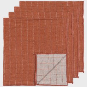 Cinnamon Stick Double Weave Napkins | Set of 4