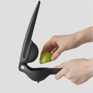 Black Citrus Juicer
