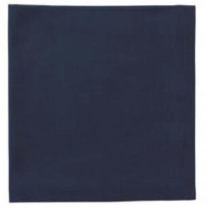 Navy Napkin