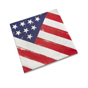 American Flag Burger Basket Liners, Set of 24