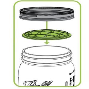 Flower Frog (Top Only)