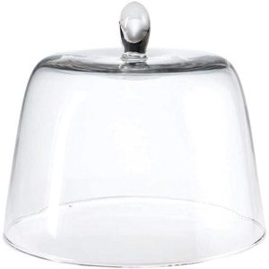 Glass Dome, 12.59"