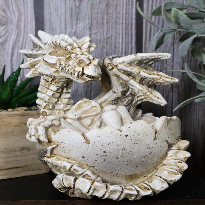 Ebros 4.5" Long Skeleton Bone Wyrmling Dragon Hatchling From Egg Statue Figurine