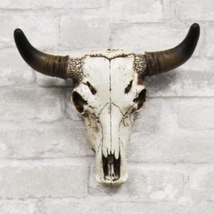 Western Aged White Steer Bison Buffalo Bull Cow Horned Skull Head Wall Decor