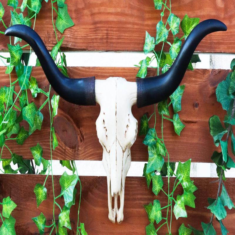 Ebros Texas Longhorn Steer Cattle Cow Skull Wall Hanging Plaque Figurine 21"L