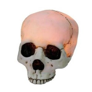 Ebros 7 Inch Long Night Glowing Skeleton Skull Resin Statue Figurine