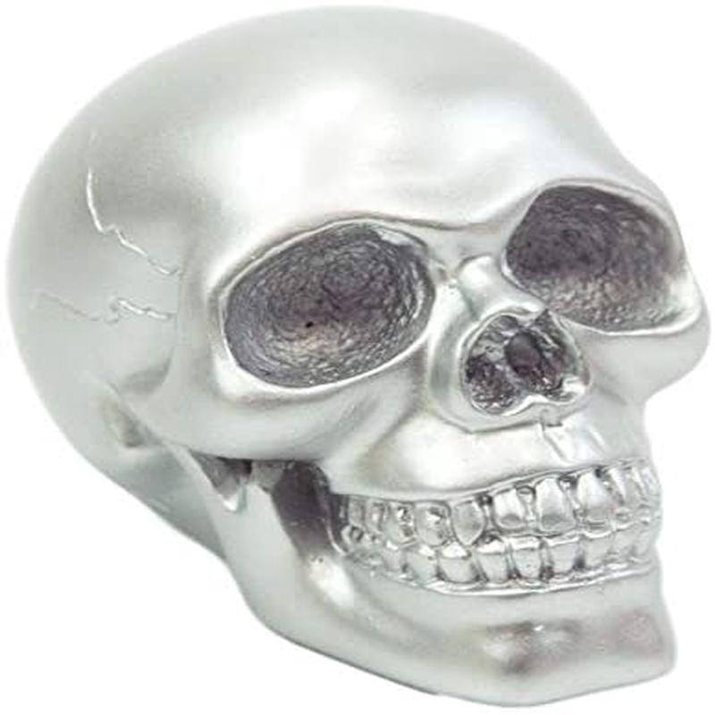 Ebros Pirate's Loot Graveyard Human Skull Figurine 3.75"L (Metallic Silver)